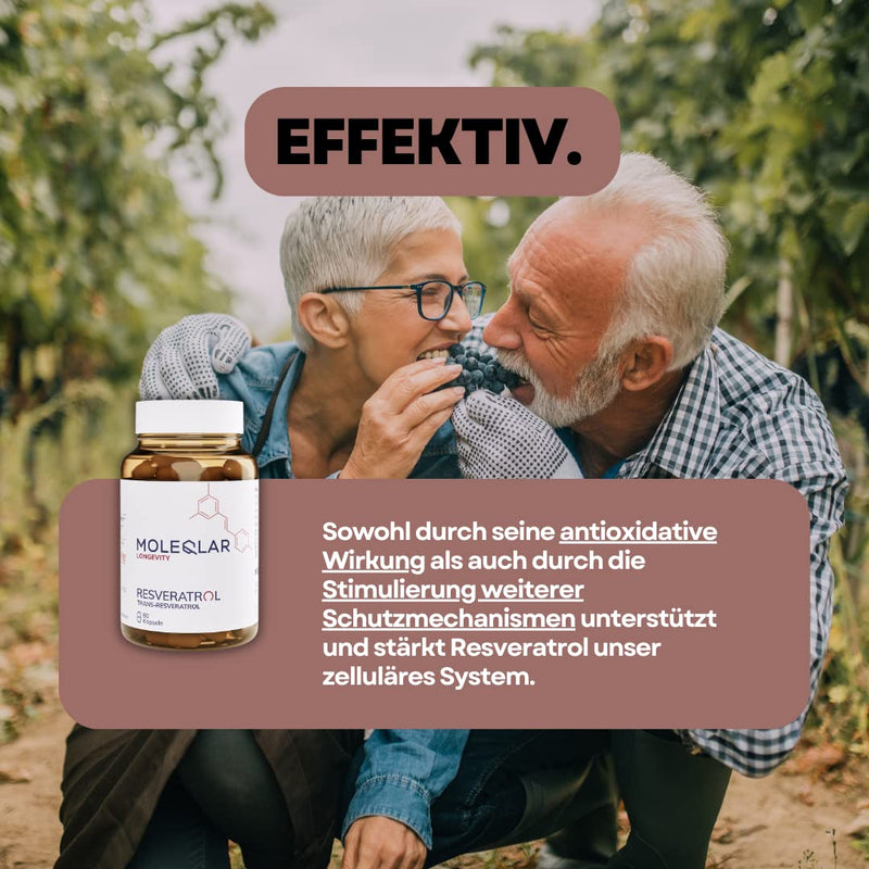 Moleqlar Trans-Resveratrol Capsules | 60 Capsules Premium Resveratrol From Yeast Fermentation | 500Mg Per Capsule | >98% Pure Trans-Resveratrol | 100% Pah And Gmo Free | Certified Purity - NewNest Australia