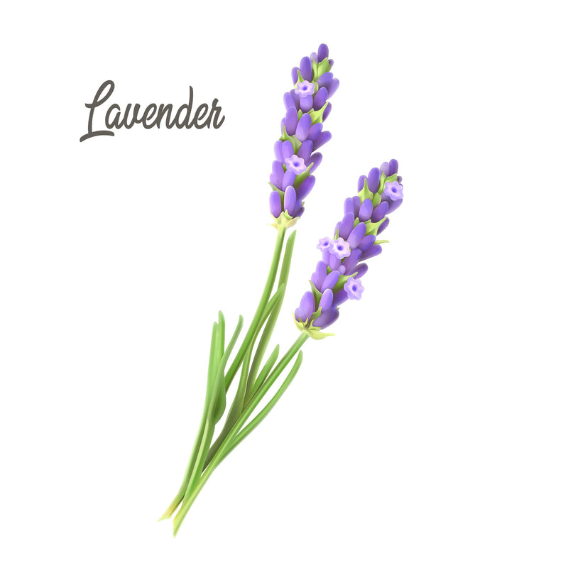Trouble Sleeping? Sleep Aid 10ml Roll-On Stick. Essential Oil & Amethyst Remedy to Soothe and Relax. Lavender, Bergamot & Vanilla. Aromatherapy & Crystal Rollerball. Sweet Dreams! - NewNest Australia