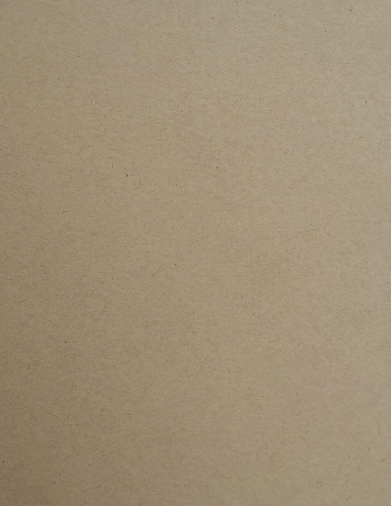 Kraft Speckletone 100% Recycled Cardstock Paper - 8.5 x 11 inch - PREMIUM 80 LB. COVER - 25 Sheets Kraft - NewNest Australia