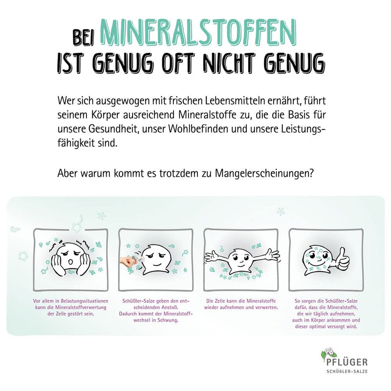 PFLÜGER Schüßler Salts No. 9 Natrum phosphoricum D6 - 1000 tablets - The salt of metabolism - gluten-free - NewNest Australia