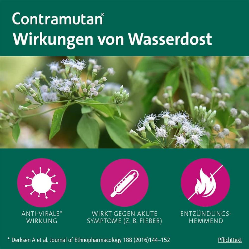 Contramutan syrup 100 ml - NewNest Australia