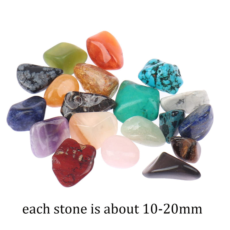 Crystal Sets for Beginners, Rock Mineral And Fossil Kit, Mineral Rock Variety Tumbled Rough Gemstone Meteorite Fragment Healing Energy Crystal Collection Box (20pcs Tumbled Mini Stones) - NewNest Australia