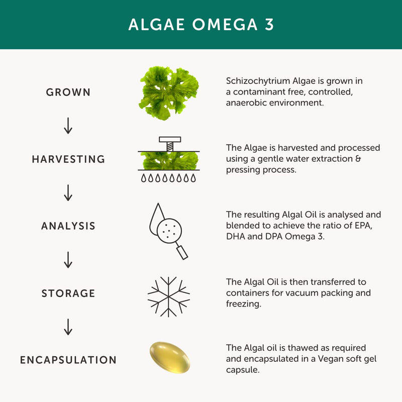 Algae Omega 3 – Together Health – Pure Algae Omega 3 – Unique Plant Source of DHA & EPA – Vegan Friendly - Made in The UK – 30 Softgels 30 Count (Pack of 1) - NewNest Australia
