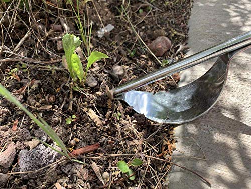 Edward Tools Weeding Tool - Leverage Metal Base Creates Perfect Angle for Easy Weed Removal and Deeper Digging - Sharp V Nose Digs deep to Roots - Stainless Rust Proof Steel - NewNest Australia