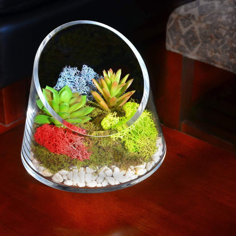 Mosser Lee ML3020 Assorted Reindeer Decorative Moss, 3 ounce - NewNest Australia