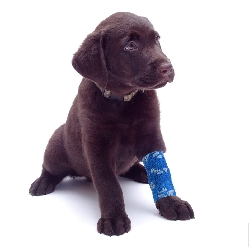 6 Rolls Of Self-Adhesive Bandage Dog Vet Wrap Pet Self-Adhesive Bandage 5 Cm X 4.5 M Cohesive Bandages Cohesive Bandage Elastic Bandage Fixation Bandage For Cat Dog Horse Fingers - NewNest Australia
