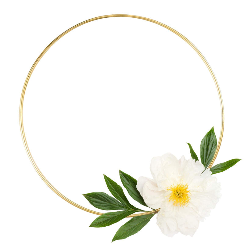 8 Pack Large Metal Floral Hoop Wreath Macrame Gold Hoop Rings(6 Inch8 Inch10 Inch 12 Inch) for Making Wedding Wreath Decor and DIY Dream Catcher Wall Hanging Crafts-Gold - NewNest Australia