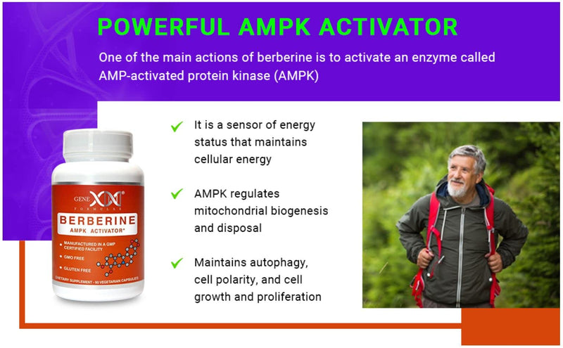 Genex Berberine HCl 500mg - Powerful AMPK Activator, - Pairs Well with Resveratrol and NMN Nicotinamide Mononcleotide. (Vegetarian, Gluten-Free, Non-GMO) Root Extract Supplement - NewNest Australia