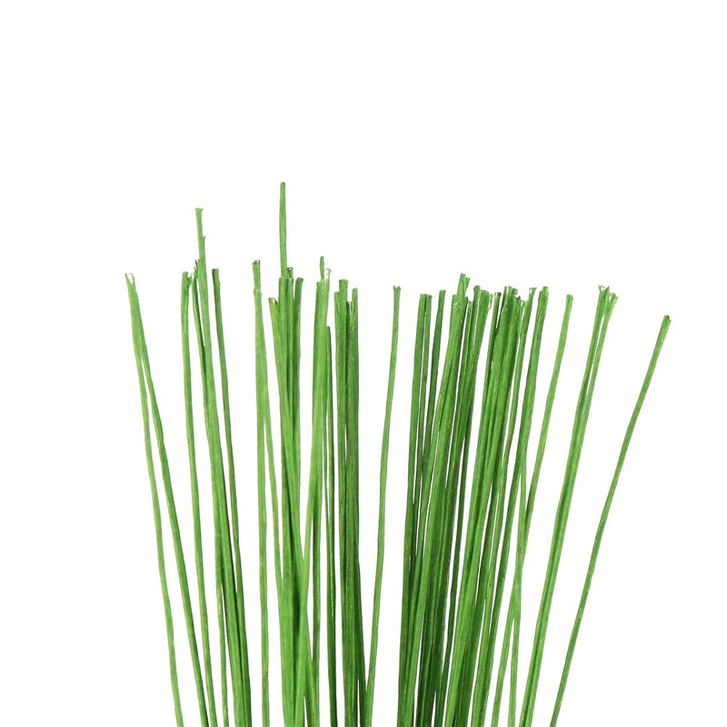 Decora 24 Gauge Green Floral Wire Green Paper-Wrapped Floral Stem Wires for Crafts 16 inch,50/Package - NewNest Australia