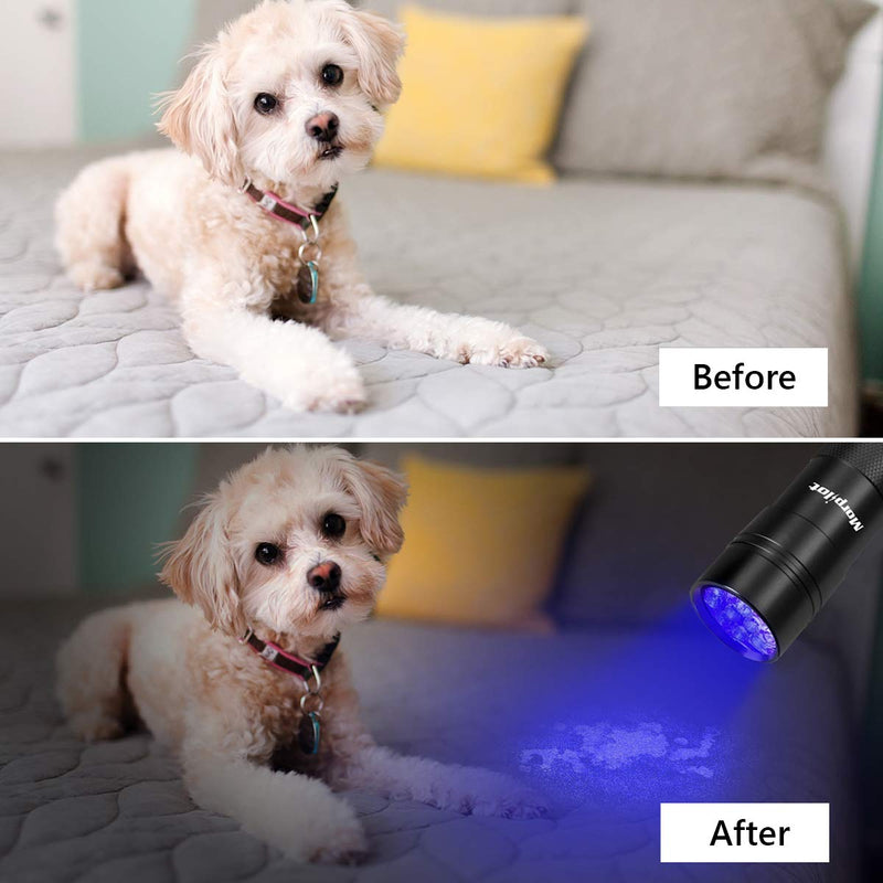 mopilot Black Light, UV Blacklight Flashlights 4 PCS 12 LEDs 395nm Mini UV Flashlight Detector for Pets Urine and Stains - NewNest Australia