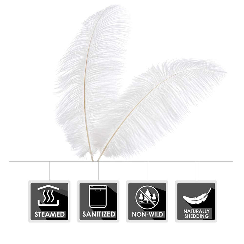 16-18 inches (40~45cm) Real Natural Ostrich Feathers Bulk White,Great Decorations for Christmas Halloween Home Party Wedding Centerpieces (10) White 10pcs - NewNest Australia