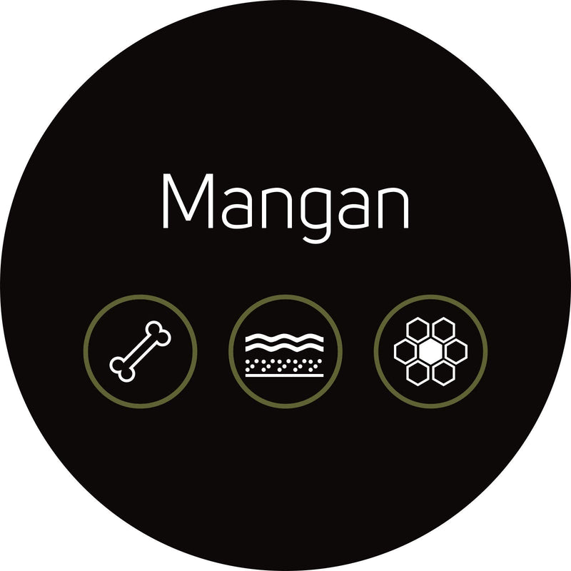 DiaPro® Manganese 365 High-dose manganese tablets with 10 mg manganese per tablet made from manganese bisglycinate 365 pieces Annual supply 100% Vegan Laboratory tested - NewNest Australia