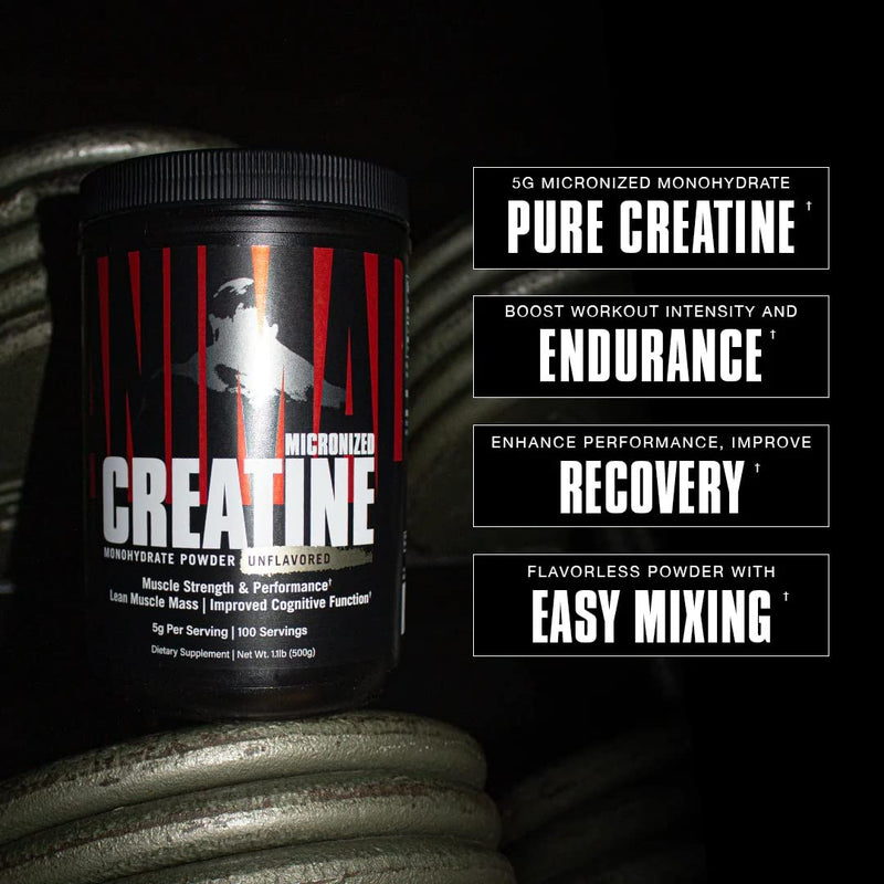 Universal Nutrition Animal Creatine Powder (500G) Contains Easily Absorbent Creatine Monohydrate, Delays Muscle Fatigue, Improves Body Endurance & Training Ability - NewNest Australia
