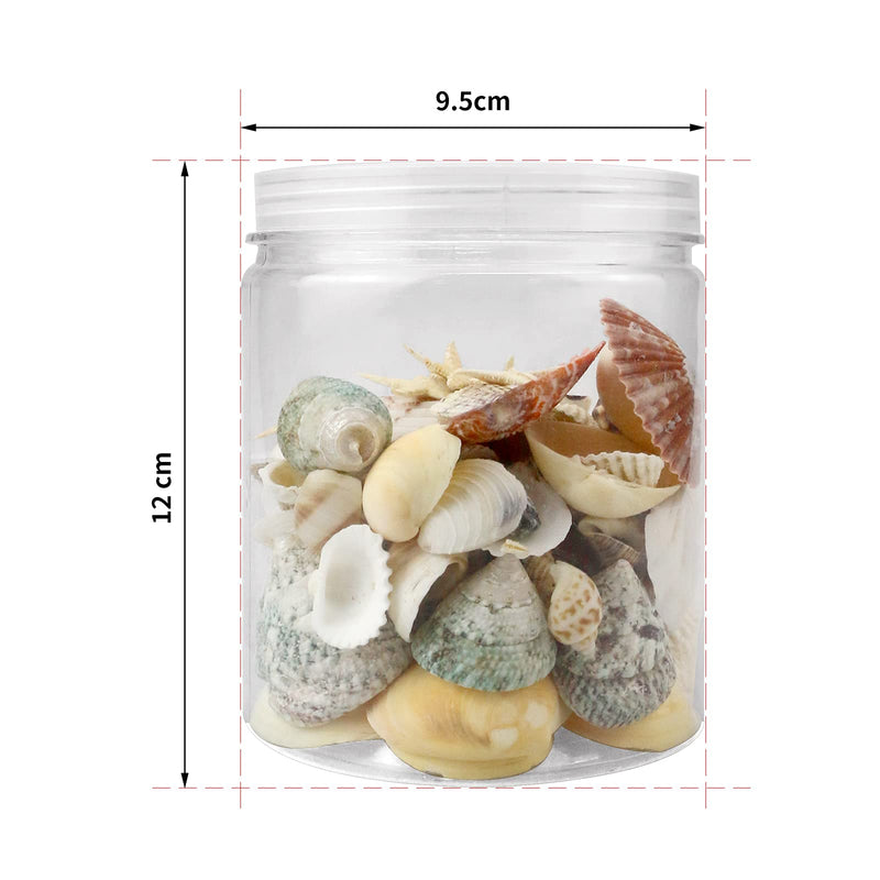 WEOXPR Mixed Sea Shells, 100+ Pcs Beach Seashells Starfish, Various Sizes Ocean Seashells for Fish Tank Vase Fillers, Beach Theme Party Wedding Decor, Candle Making, DIY Crafts, Home Decorations - NewNest Australia