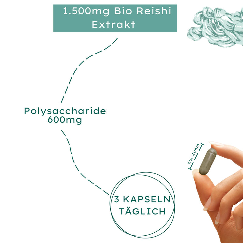 Nature Basics Organic Reishi Capsules With 40% Bioactive Polysaccharides, 120 Capsules Certified & Sustainable In Glass, 500 Mg Per Capsule, Laboratory-Tested, Vegan, From Germany, No Additives & Co2 - NewNest Australia