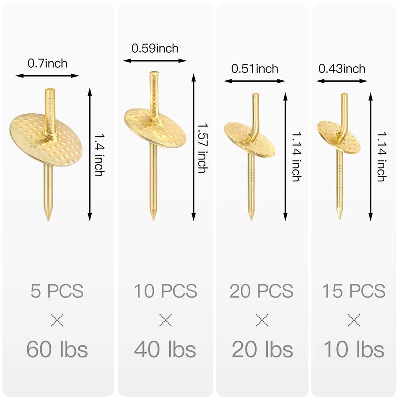 Picture Hanging Nails, Hommie Picture Hangers with10-60 lbs 50PCS Picture Hangers Hardware kit One Step Picture Hangers Nails for Drywall, Picture Frame, Canvas, Mirror Hanging Decoration 10-60bls 50pcs - NewNest Australia