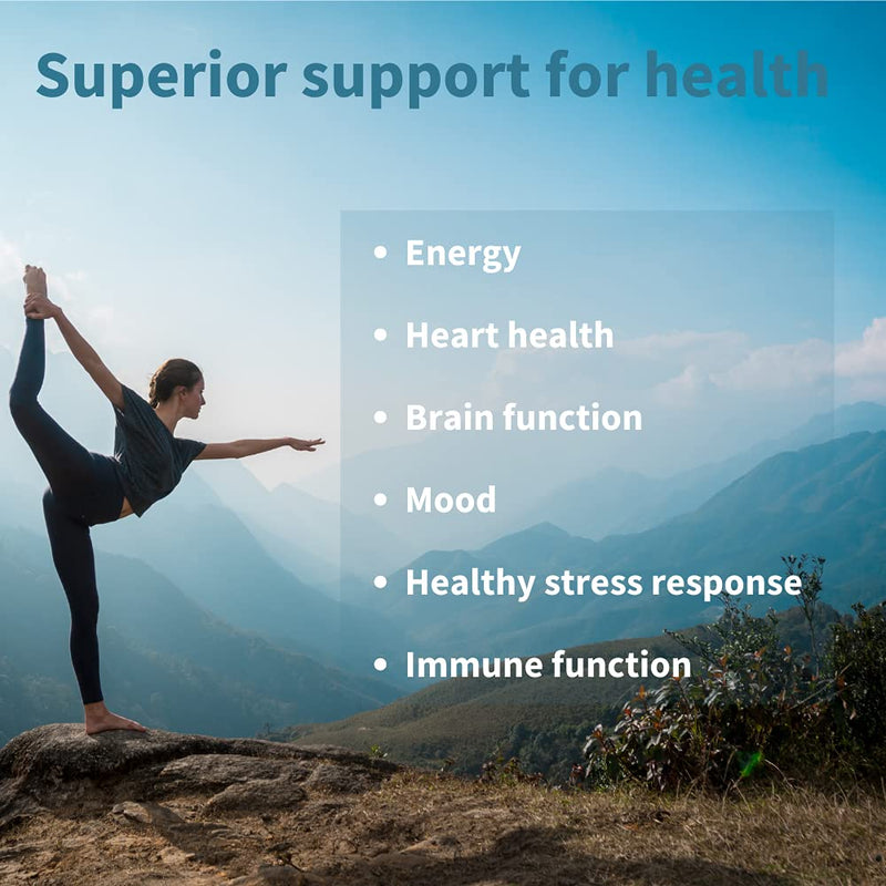Super B-Complex – Methylated Sustained Release B Complex & Vitamin C, Folate & Methylcobalamin, Vegan, 60 Small Tablets 60 Count (Pack of 1) - NewNest Australia