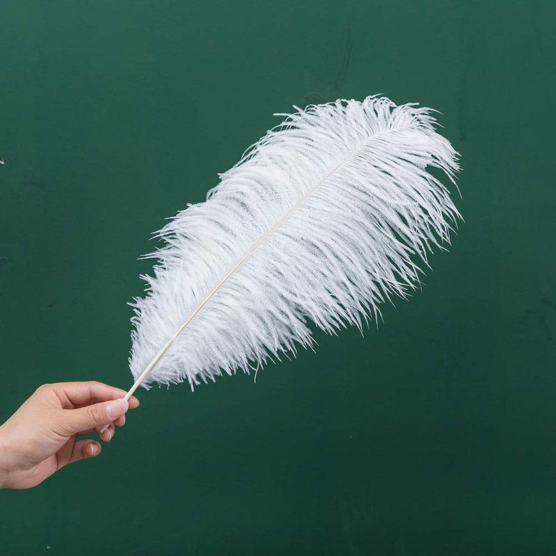 16-18 inches (40~45cm) Real Natural Ostrich Feathers Bulk White,Great Decorations for Christmas Halloween Home Party Wedding Centerpieces (10) White 10pcs - NewNest Australia