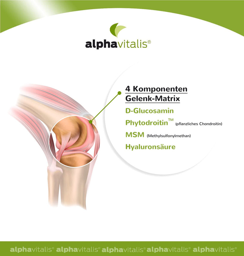 Glucosamine + Chondroitin Complex With Hyaluronic Acid, Msm, Zinc, Manganese - Vegan - 240 Capsules Without Magnesium Stearate - Joint Capsules From Alphavitalis - NewNest Australia