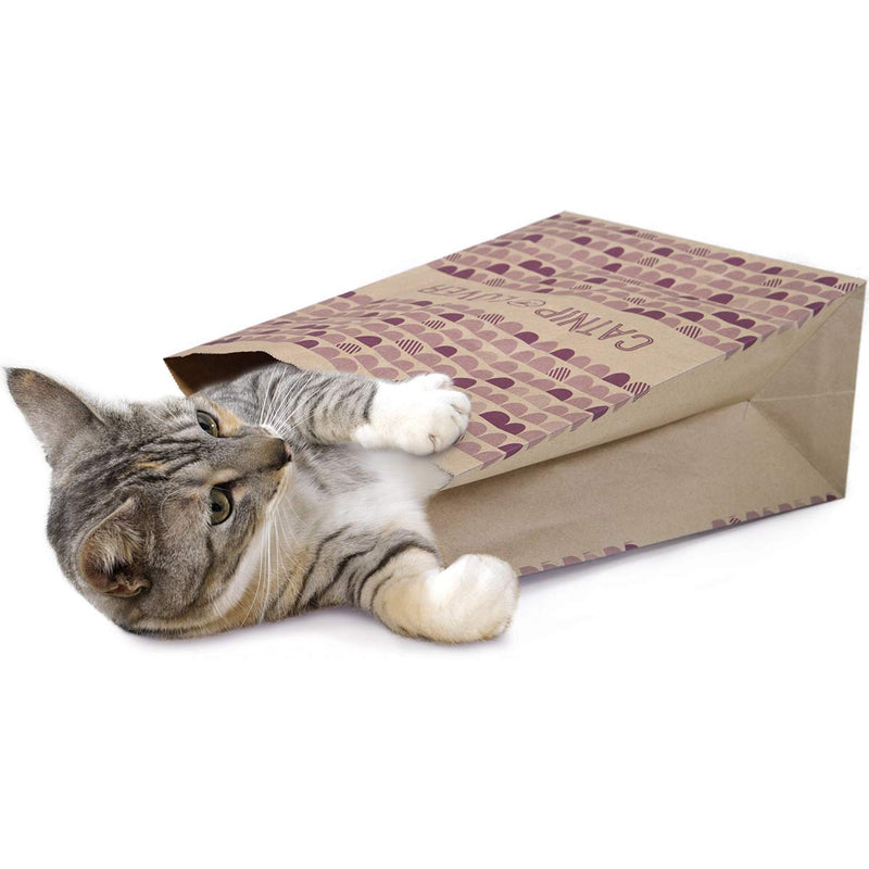 NewNest Australia - SmartyKat Hideout, Tunnel and Playmat Cat Toys Catnip Caves 