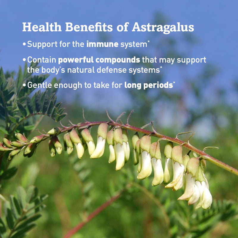 Oregon's Wild Harvest, Certified Organic Astragalus Capsules for Immunity Support, 1125 MGS, 90 Ct 90 Count (Pack of 1) - NewNest Australia