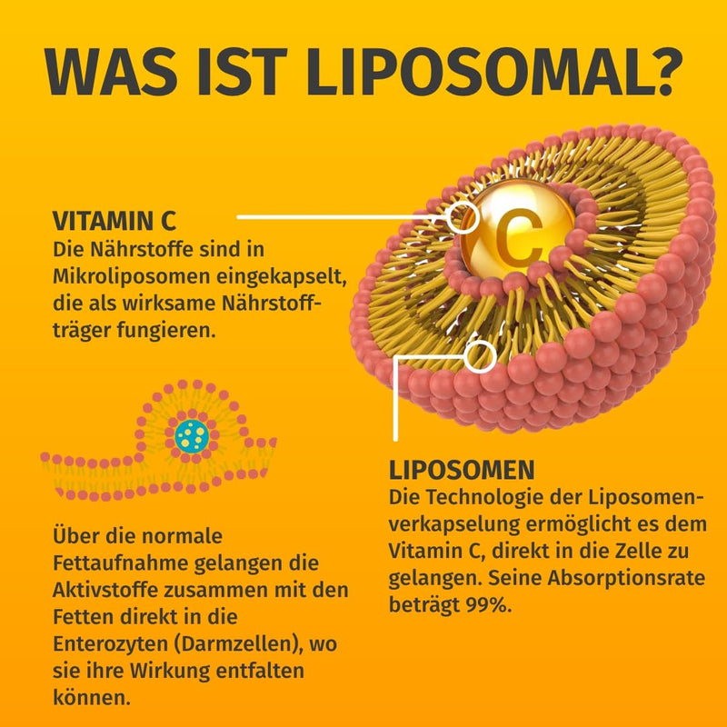 Real liposomal vitamin C (120 capsules) - 100% vegan - 0% additives - German production - supply for 4 months - NewNest Australia
