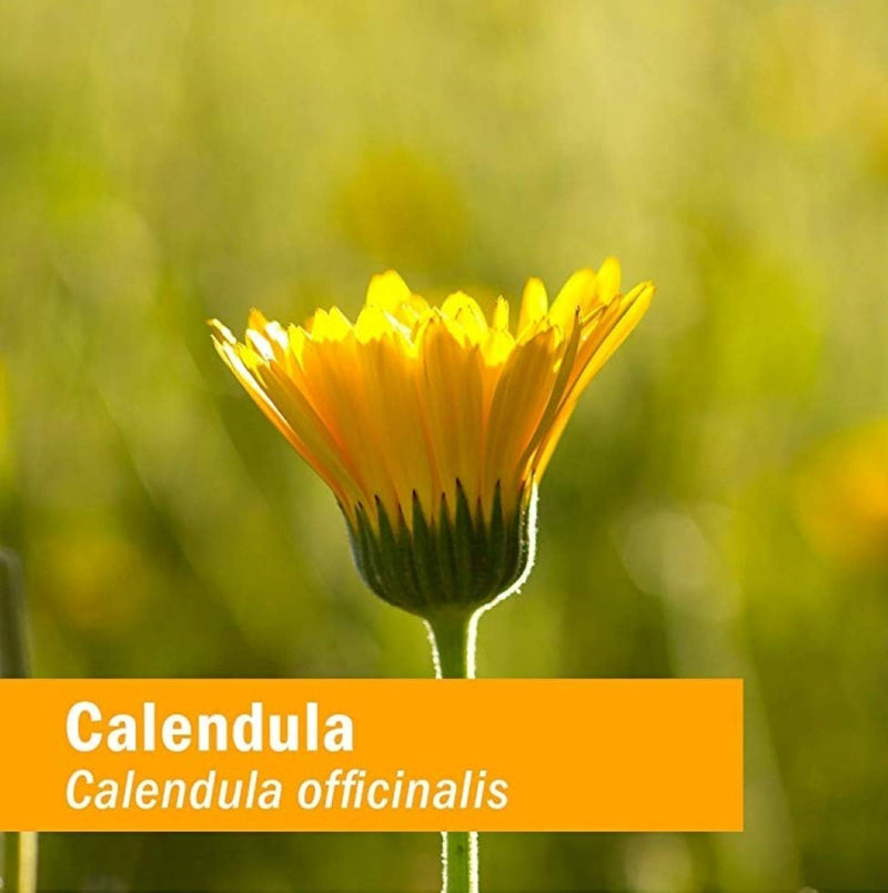 Herb Pharm Certified Organic Calendula Oil, 1 Fl Oz Calendula Oil, 1 Oz - NewNest Australia