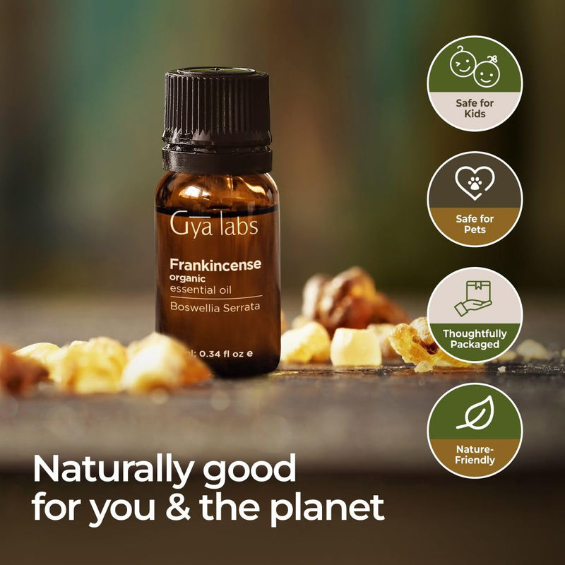 Gya Labs Frankincense Essential Oil For Pain - 100% Natural Therapeutic Grade Pure Organic Frankincense Oil For Skin - Frankincense Essential Oil For Face And Diffuser (10Ml) - NewNest Australia