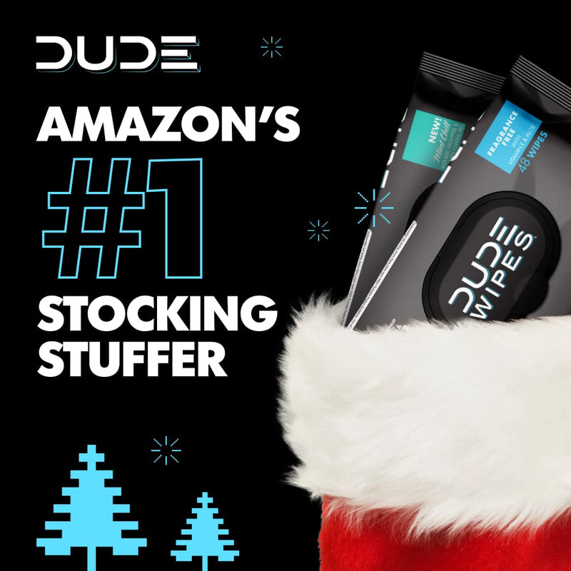 DUDE Wipes Flushable Wet Wipes Dispenser Mint Chill 48Count - Scented Wet Wipes with Vitamin-E Aloe Eucalyptus & Tea Tree Oils for at-Home Use Septic & Sewer Safe Pack of 1 - NewNest Australia