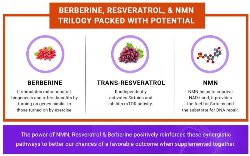 Genex Berberine HCl 500mg - Powerful AMPK Activator, - Pairs Well with Resveratrol and NMN Nicotinamide Mononcleotide. (Vegetarian, Gluten-Free, Non-GMO) Root Extract Supplement - NewNest Australia