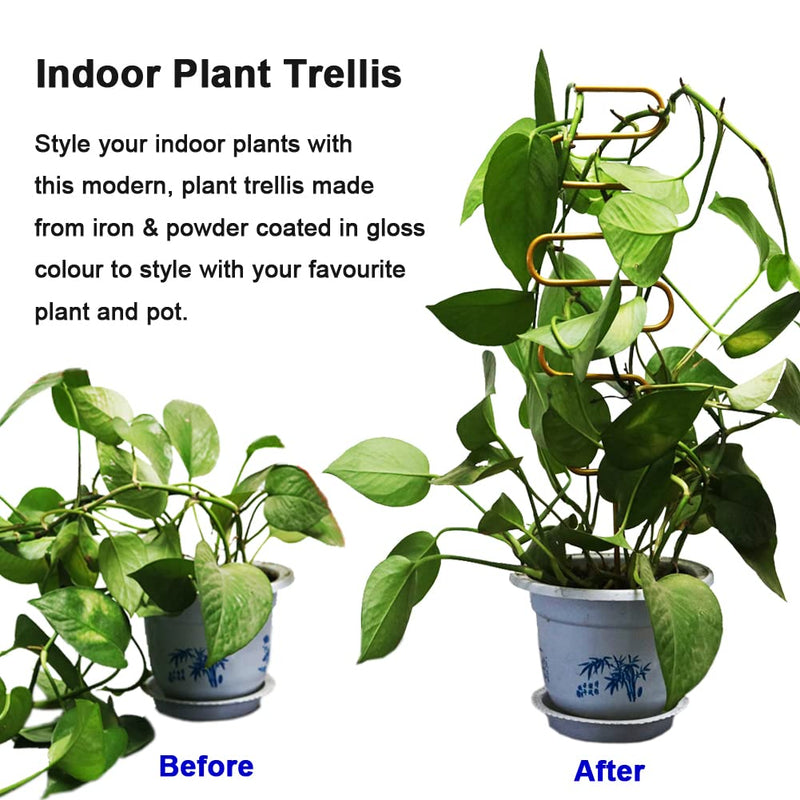Small Metal Trellis for Potted Plants, 3 Pcs Gold Trellis for Climbing Plants Indoor, Plant Support Stake Mini House Plant Trellis for Hoya, Flower, Pothos, Monstera - NewNest Australia