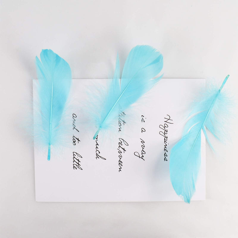 HaiMay 450 Pieces Blue Feathers for Craft Wedding Home Party Decorations, 3-5 Inches Blue Craft Feathers Peacock Blue - NewNest Australia