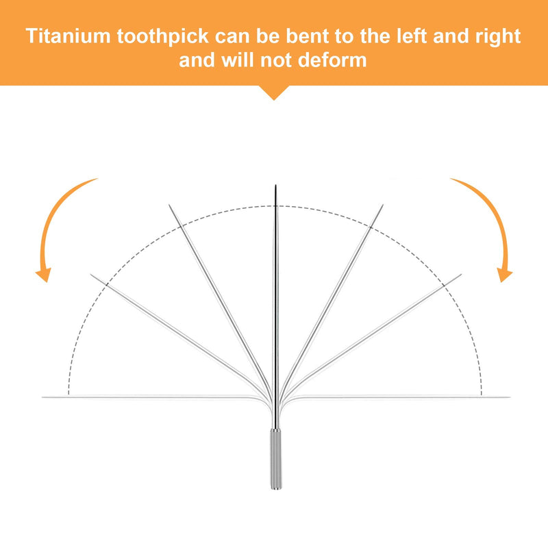 XINYUWIN 6PCS Stainless Steel Toothpick Fruit Toothpick Alloy of Nickel and Titanium Medical Material with Pocket Toothpick Hole Keychain Suitable for Outdoor Travel Camping 6 Count (Pack of 1) - NewNest Australia