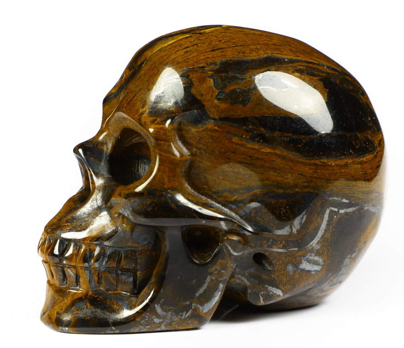 NewNest Australia - Skullis 2.0” Tiger Iron Eye Crystal Skull, Hand Carved Gemstone Fine Art Sculpture, Reiki Healing Stone Statue. Tiger Iron Eye 2 