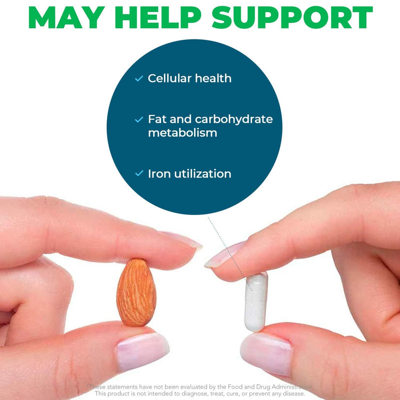 Seeking Health Molybdenum 500 – Molybdenum Glycinate Chelate – Supports Metabolism and Iron Utilization* - Metabolism Supplement - 90 Vegetarian Capsules - NewNest Australia