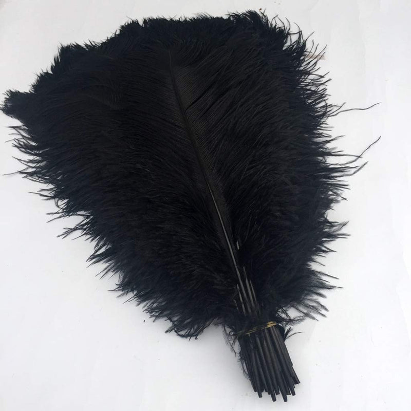 Shekyeon Black 16-18inch 40-45cm Ostrich Feather DIY Craft Feather Pack of 10 - NewNest Australia