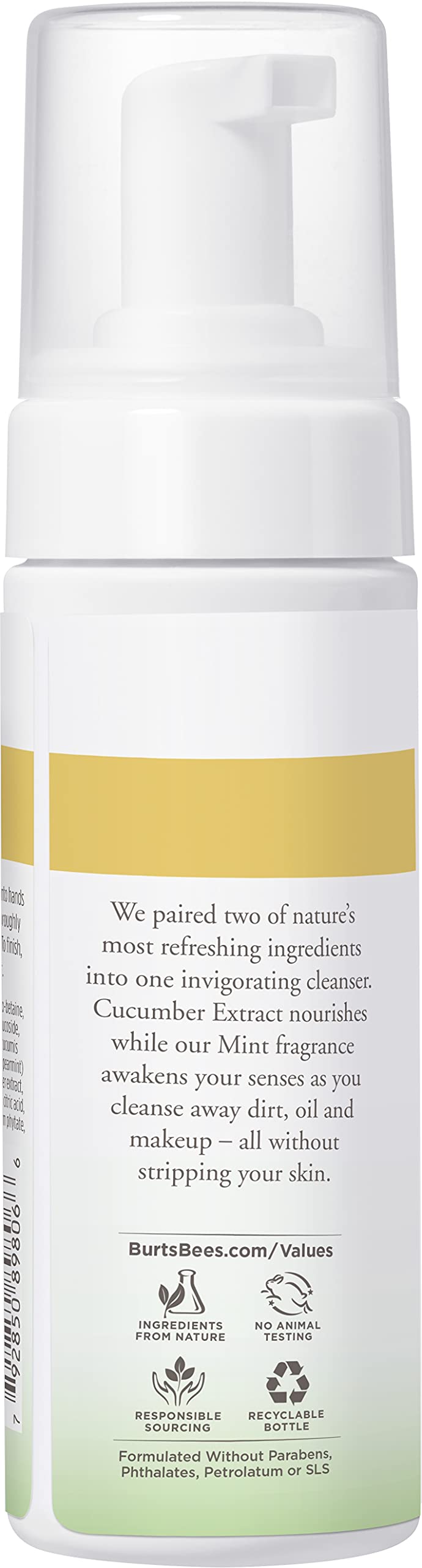 Burt's Bees Refreshing Foaming Cleanser and Natural Face Wash with Cucumber and Mint, 4.8 Fl Oz - NewNest Australia