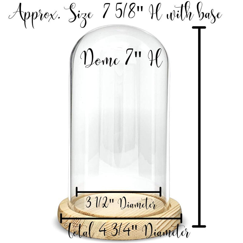 NewNest Australia - BANBERRY DESIGNS Protective Glass Display - Approx 7" X 4 3/4" inch Dome Cloche - Bell Jar Decorative Glass Cover with Natural Wood Base 