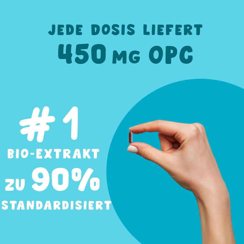 OPC 90% | Grape seed extract in high doses For 1 to 2 months | 60 capsules | Rich in antioxidants, polyphenols and flavonoids | 500 mg powder per dose| Helps lower blood pressure - NewNest Australia