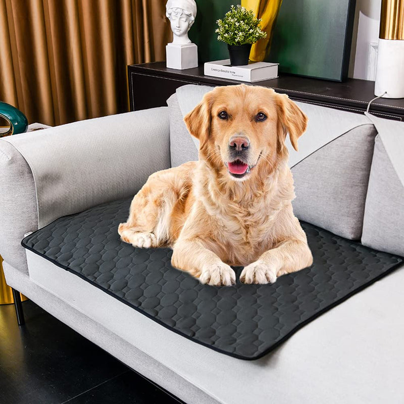 Waterproof Seat Pad Absorbent Incontinence Pad Washable Reusable Seat Protector Pad Four Layers Healthcare Chair Pad Non-Slip Under Pad for Men Women Baby Senior and Pet,22"X21" (Black) Black - NewNest Australia