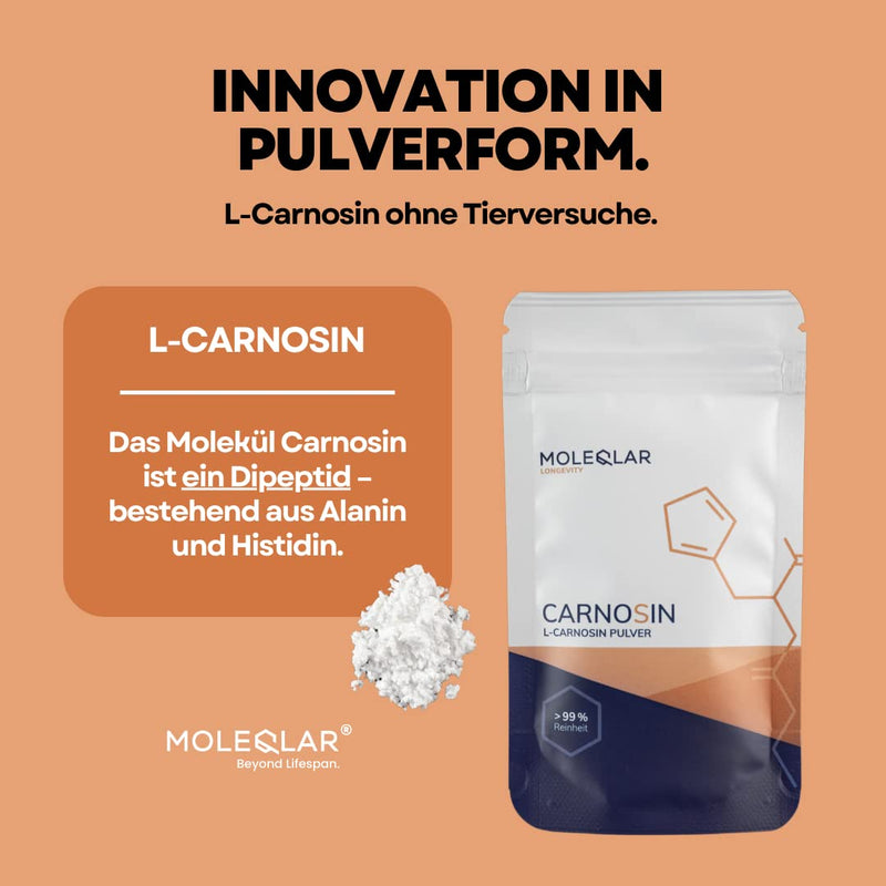 Moleqlar L-Carnosine Powder High Dosage | 30 Grams Of Pure Vegan Carnosine Powder | 1000 Mg L-Carnosine Per Serving | Against Age'S And Ale'S | Including Measuring Spoon | Certified Purity - NewNest Australia