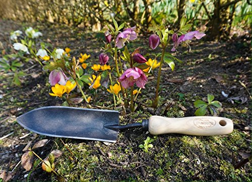 DeWit Forged Transplant Trowel with Short handle - NewNest Australia