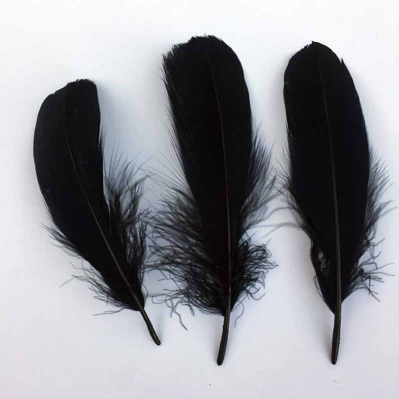Sowder Natural Goose Feathers Clothing Accessories Pack of 100 (Black) Black - NewNest Australia