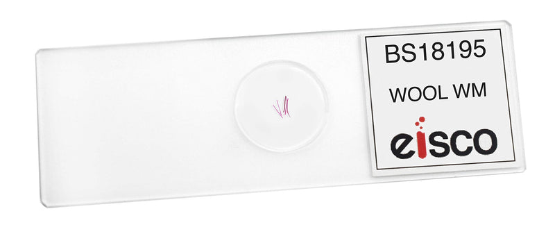 Wool, Wholemount - Prepared Microscope Slide - 75 x 25mm - Biology & Microscopy - Eisco Labs Single Slide - NewNest Australia