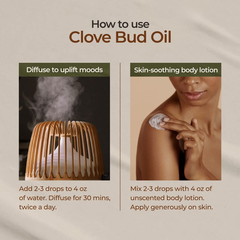Gya Labs Clove Oil for Oral Care. Natural Clove Essential Oil for Oral discomfort. - Clove Oil Essential Oil - Clove Oil for Hair, Skin, Teeth, and Gums. (10 ml) 10 ml (Pack of 1) - NewNest Australia