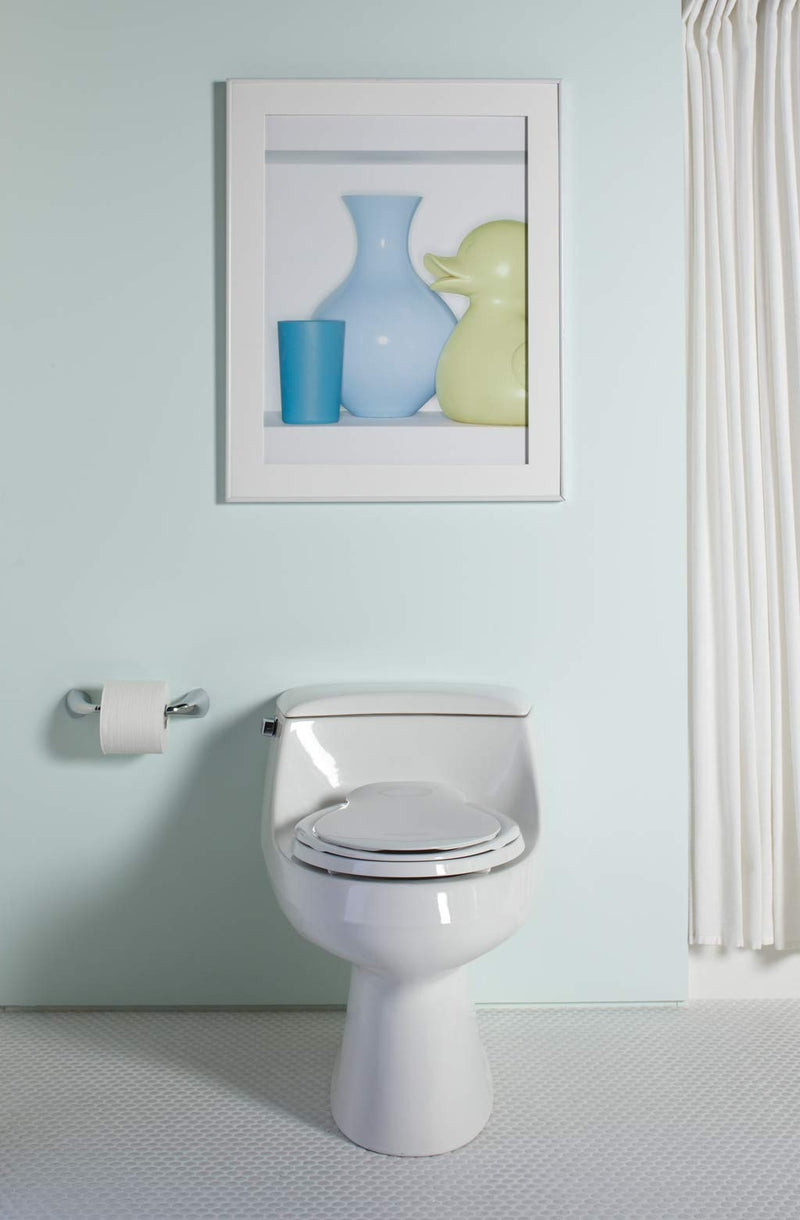 Toilet Paper Holder by KOHLER, Bathroom Toilet Paper Holder, Alteo Collection, Polished Chrome, K-37054-BN - NewNest Australia