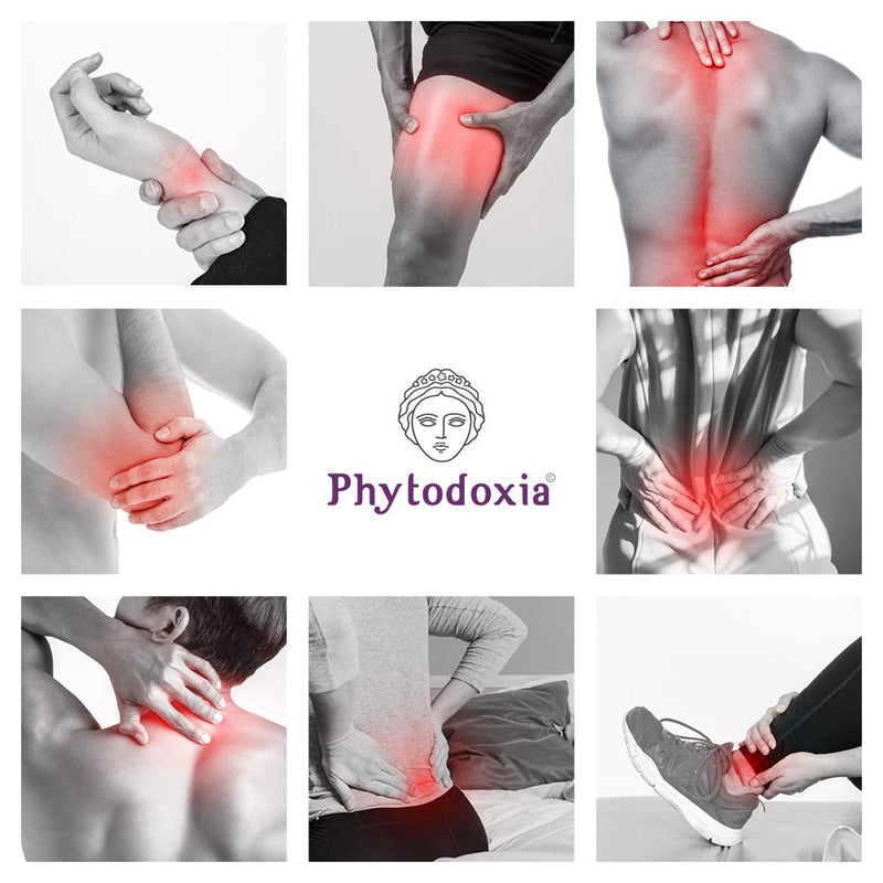 Physio Gel 200 Ml | Pain Gel Anti-Inflammatory Strong | Pain Relief For Back, Knees, Neck | Joints And Muscles | For Athletes | Devil'S Claw Arnica Marigold St John'S Wort Menthol - NewNest Australia