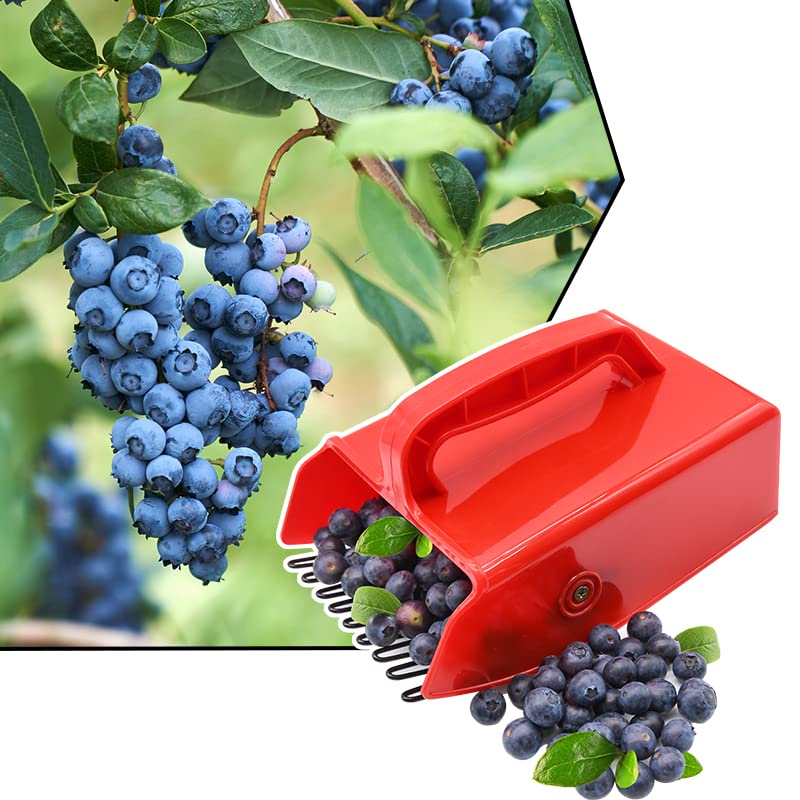 LFSEMINI Berry Picker, Berry Pickers and Rakes with Metallic Comb and Ergonomic Handle for Easier Berry Picking, Blueberry Rake Scoop for Blueberries, Lingonberries and Huckleberries (Red) - NewNest Australia