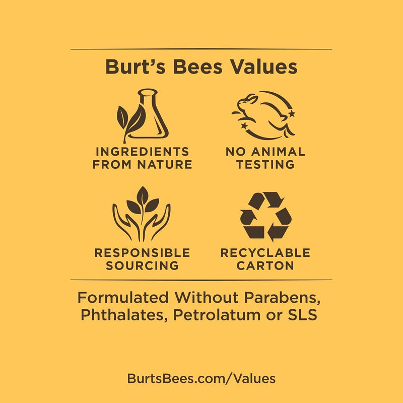 Burt's Bees Best of Gift Set, As Shown picture - NewNest Australia