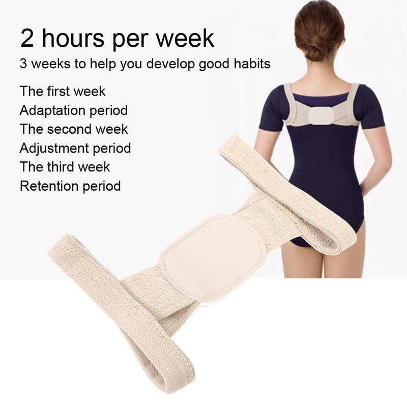 Shoulder And Back Posture Belt, Upgrade Version Posture Trainer For Strong Support, Relieve Armpit Pain, Strong But Comfortable Back Stabilizer, Smooths Comfortable Shoulder (M-Beige) - NewNest Australia